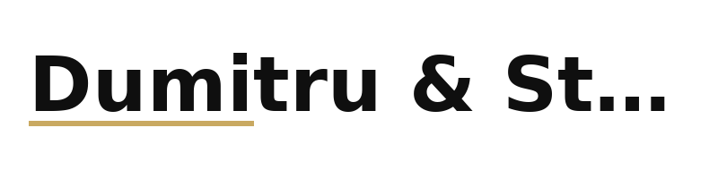Dumitru & Stan logo